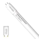 Noxion Tubo LED T8 Avant (EM/Mains) Standard Output 7.5W 900lm - 830 Luz Cálida | 60cm - Reemplazo 18W